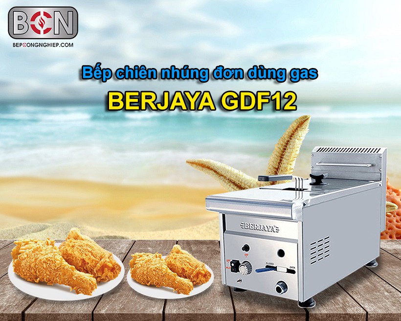 bếp chiên nhúng đơn dùng gas Berjaya New 5
