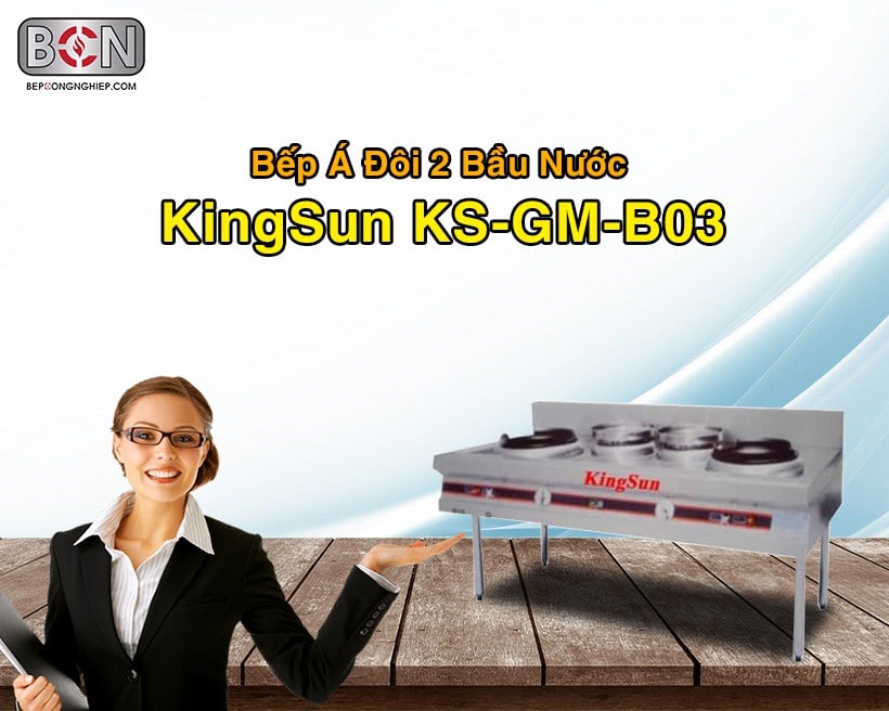 Bếp á đôi 2 bầu nước Kingsun Ks-Gm-B03 New