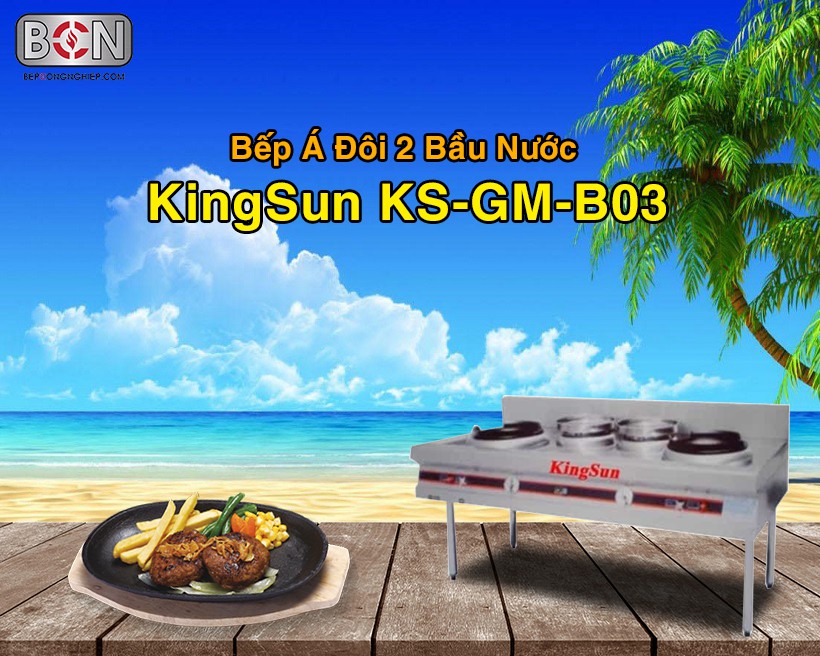 Bếp á đôi 2 bầu nước Kingsun Ks-Gm-B03