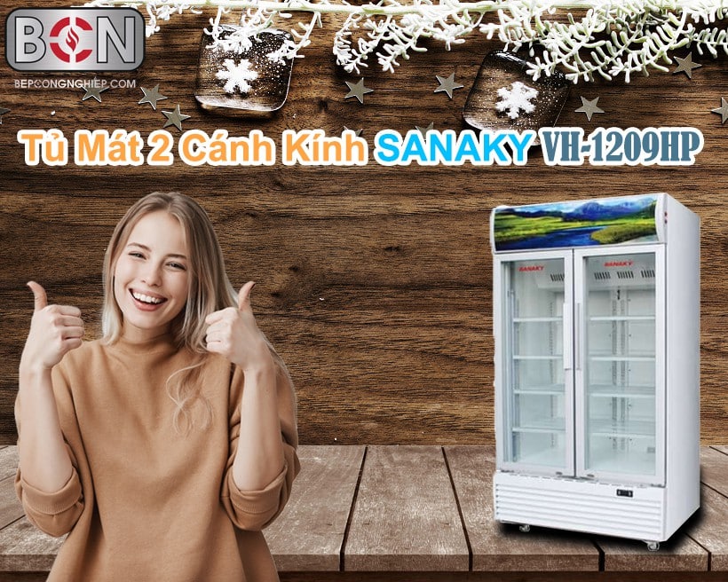 Tủ mát 2 cánh kính Sanaky New