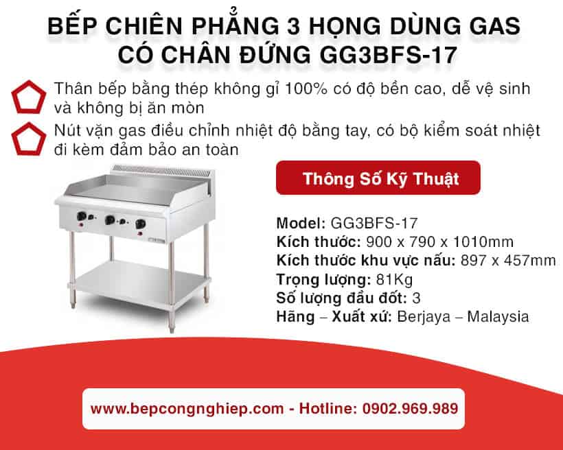 bep-chien-phang-3-hong-dung-gas-co-chan-dung-gg3bfs-17